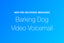 New Auto-Greeting Security Features: Real Barking Dog & New Video Voicemail