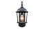 Companion Light