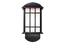 Companion Light